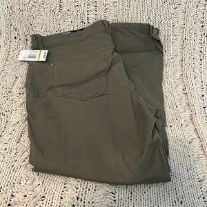 Curve Appeal vineyard Green pants size 14/32 NWT
